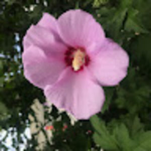 Meet your Posher, Joseph